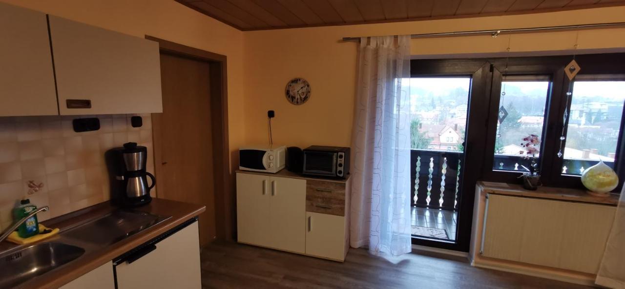 Haus Anton Apartment Zwiesel Luaran gambar